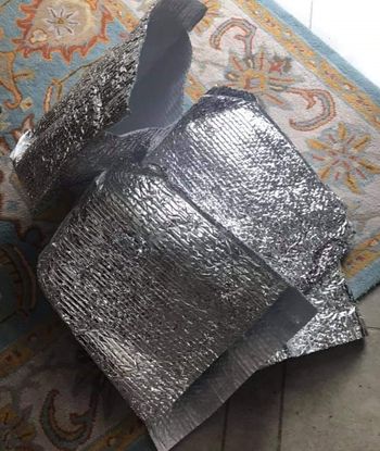 Single Use Freezer Bag. Photo courtesy of Meisha-Ann Martin.
